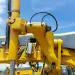 SL-1 Grease Injector view 3